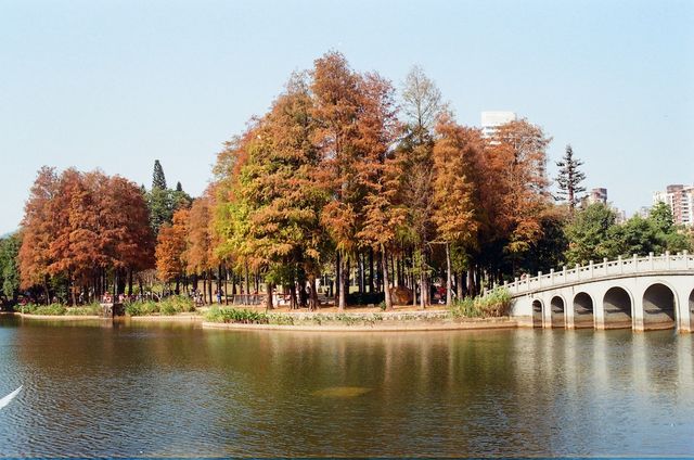 Urban Community at the Sihai Park in Shenzhen 
