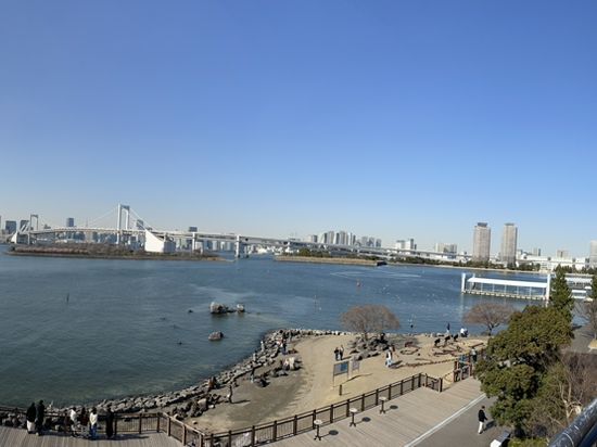 台场的自由女神🗽