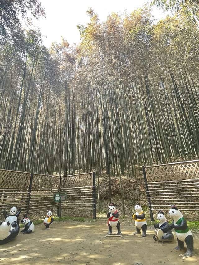 전남 가볼만한 곳