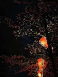 Ueno Park: Tokyo's Ultimate Cherry Blossom Dream