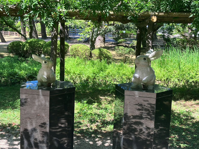 【神々のふるさと】出雲大社 ⛩🌿✨