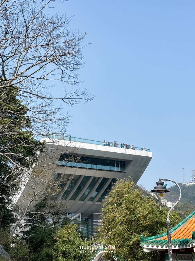 Victoria Peak จุดชมวิวเกาะฮ่องกงที่ต้องไป