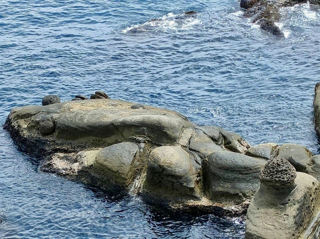 和平島地質公園ㄧ日放風看海