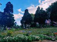 越南大叻著名地標性古跡教堂建築景點：瑪利亞修道院，著名粉紅色教堂建築，適合拍照📸打卡