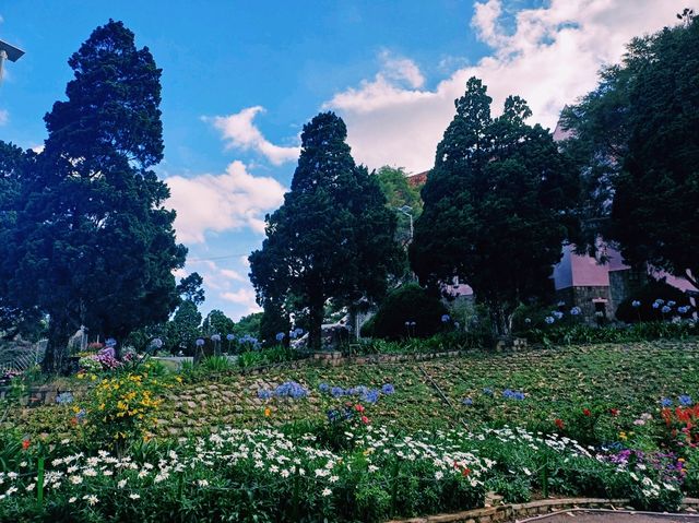 越南大叻著名地標性古跡教堂建築景點：瑪利亞修道院，著名粉紅色教堂建築，適合拍照📸打卡