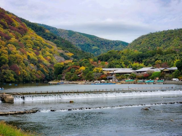 Arashiyama in Early Autumn: A Symphony of Colors and Serenity🎍🍂