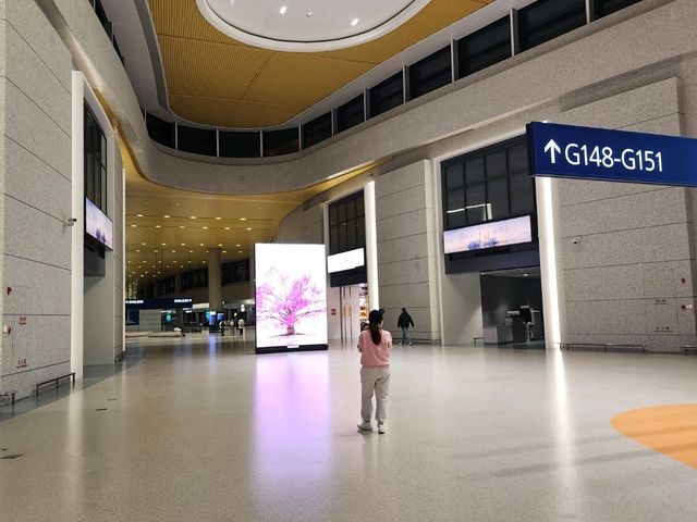 [🇨🇳上海] 上海浦東国際空港の魅力と利便性