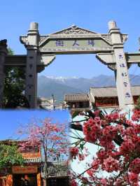 Pink Paradise in Dali Ancient Town