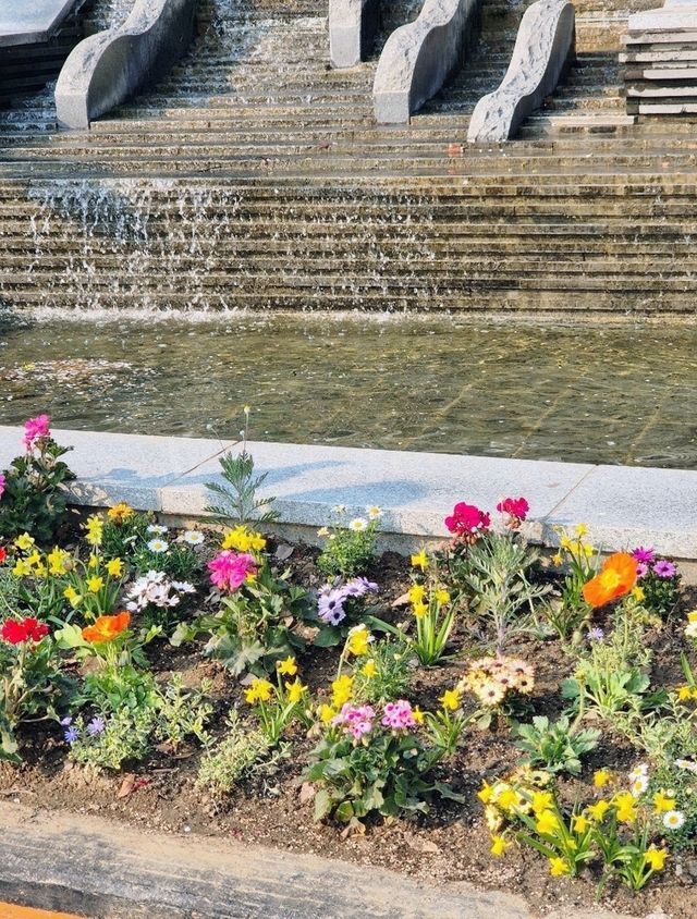 잠실 석촌호수 벚꽃축제🥰
