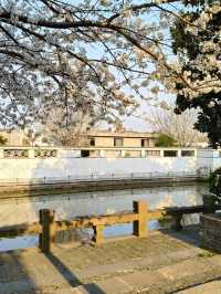 Hidden Gem in Chuansha Old Town