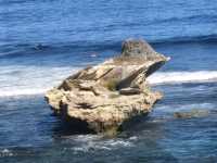 Eco-Adventures at Rottnest Island: A Sustainable Paradise