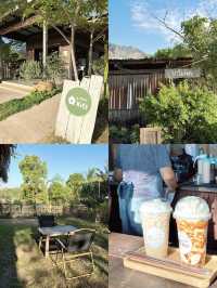 ฟาร์มคิดคาเฟ่ คาเฟ่ฟีลโฮมมี่ ที่ภูผาม่าน