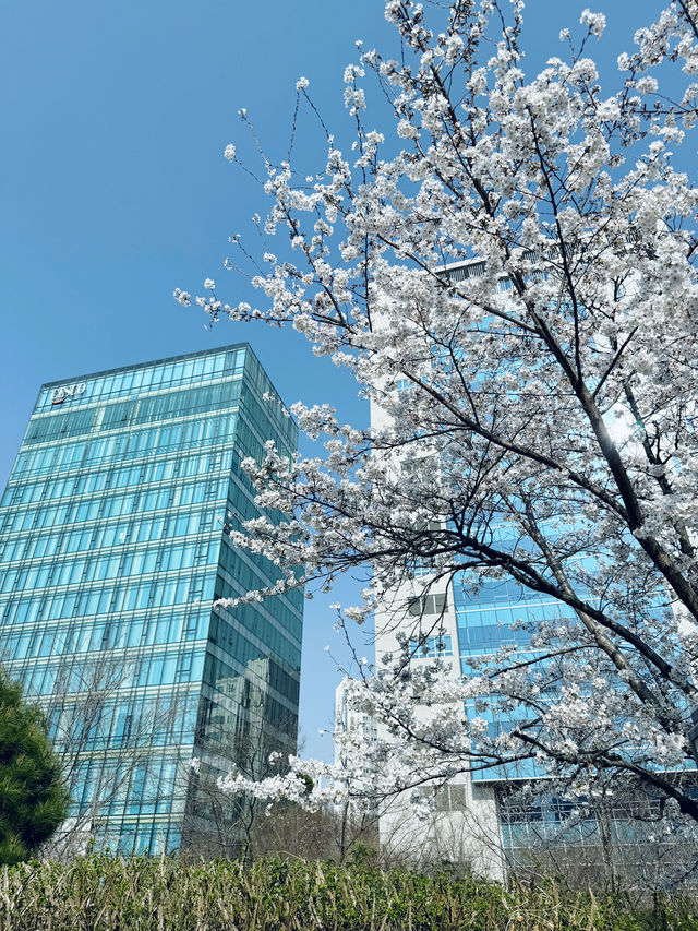 강동구 여행 코스 !