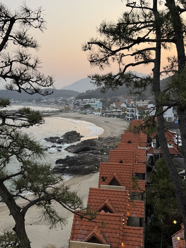 기장 대표 오션뷰 대형카페 웨이브온🌊
