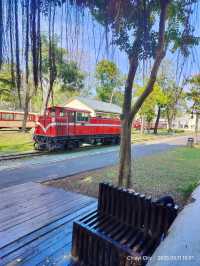 สวนสาธารณะสวย Song of the forest Chiayi 