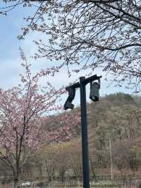 청주 자연 속 힐링 산책 코스, 명암 유원지🤍🍀