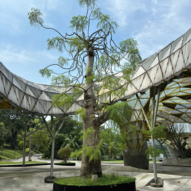 倫披尼公園·曼谷城市中的綠洲
