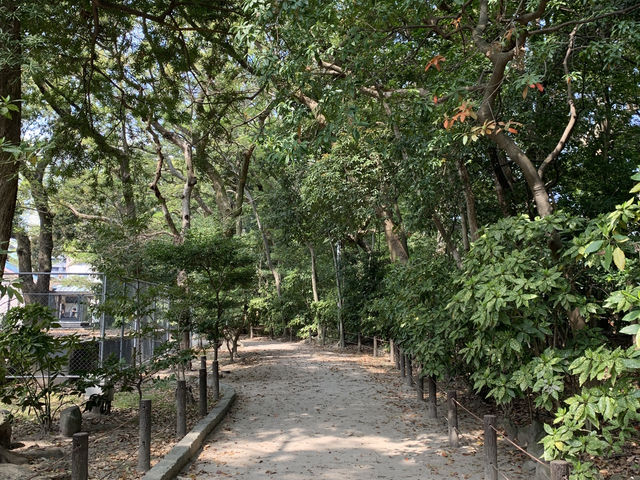 ⛩️ 스미요시 신사, 오래된 고요를 걷다