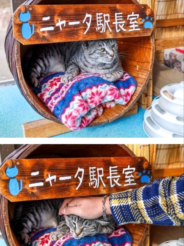 陰雨下別府纜車上山頂