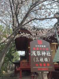 東京景點｜淺草神社