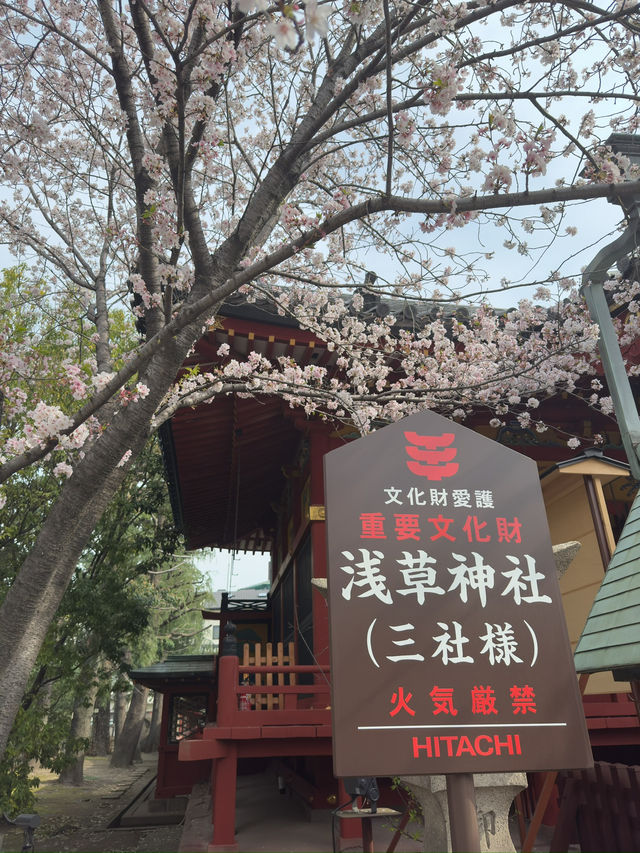 東京景點｜淺草神社