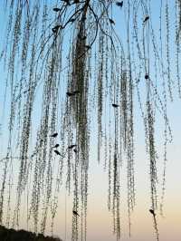Beihai Park – Beijing's Imperial Garden Oasis