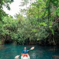 Blu Monkey Pooltara Krabi  