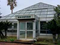 【千葉】あけぼの山農業公園でお花見