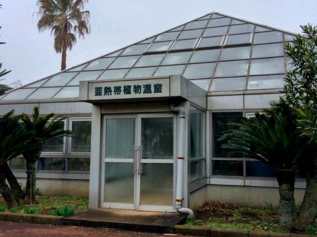 【千葉】あけぼの山農業公園でお花見