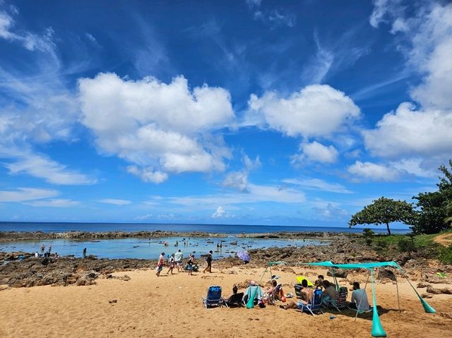 [🇺🇸オアフ島] ノースショアで楽しむ、波と自然のパラダイス
