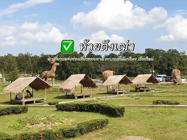 พาเที่ยวแหล่งธรรมชาติ ครบ จบที่นี่ ห้วยตึงเฒ่า🌳