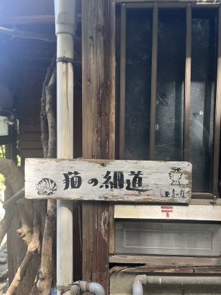 【廣島/尾道】大人的散步獨遊