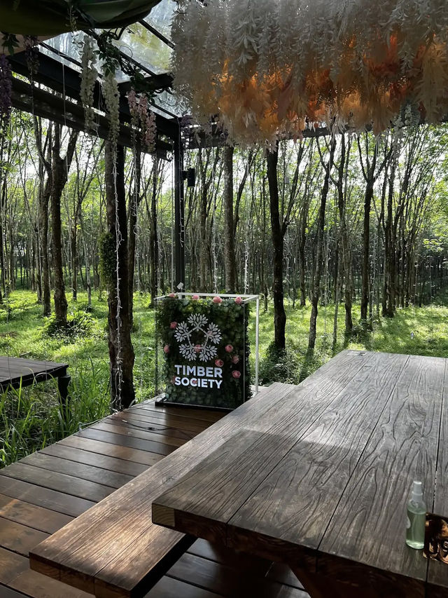 Luxury Meets Nature at Timber Society – Private Pool Glamping, Phuket