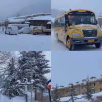 Snow Town Harbin! เมืองหิมะในฝัน 