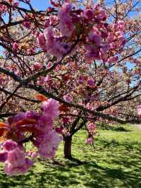 Royal Botanical Gardens, Kew,