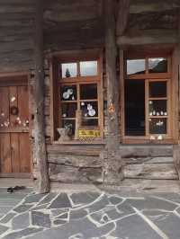 司馬庫斯神木群步道擁抱巨木去