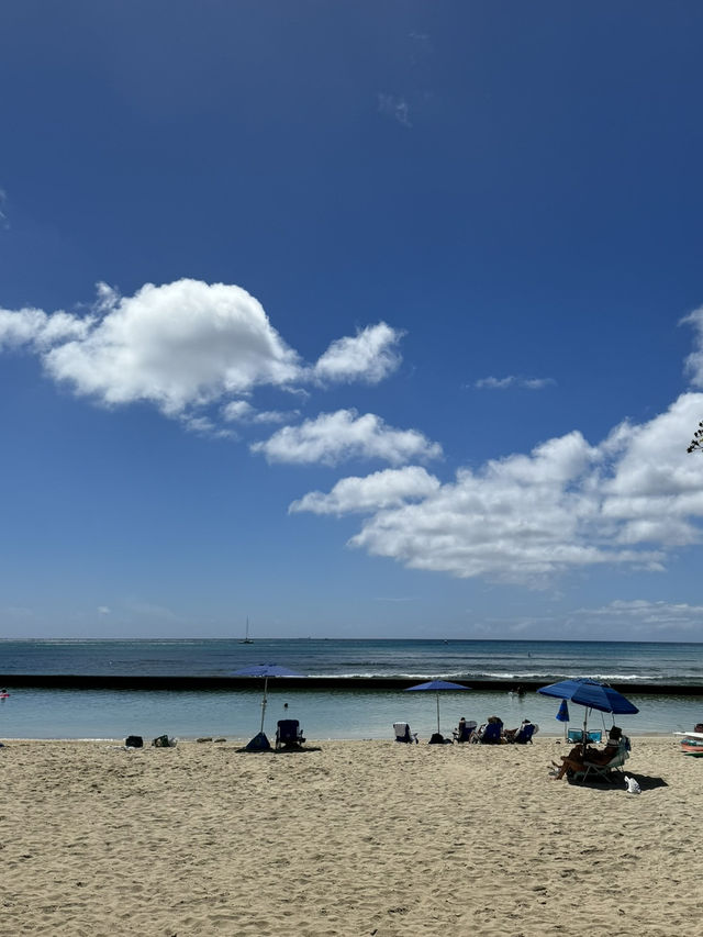 🏝️ 하와이 바다별 특징 및 비교, 나에게 맞는 해변 찾기! 