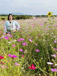 Picturesque Agricultural Theme Park