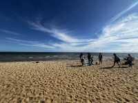 Discover the beauty of Melbourne Brighton Beach