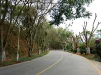 เดินเที่ยวมหาลัยบรรยากาศดีๆที่เซียะเหมิน