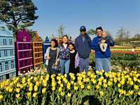 Play, Pets & Plants—Pyeongtaek Fun!