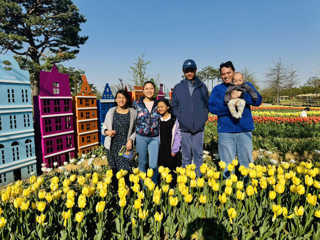 Play, Pets & Plants—Pyeongtaek Fun!