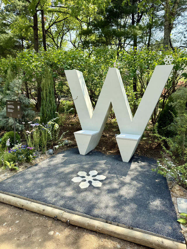 Tulip Time in Seoul Forest Park