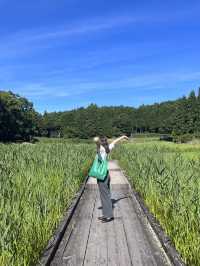 【奈良】穴場自然スポット！龍王ヶ渕🌳