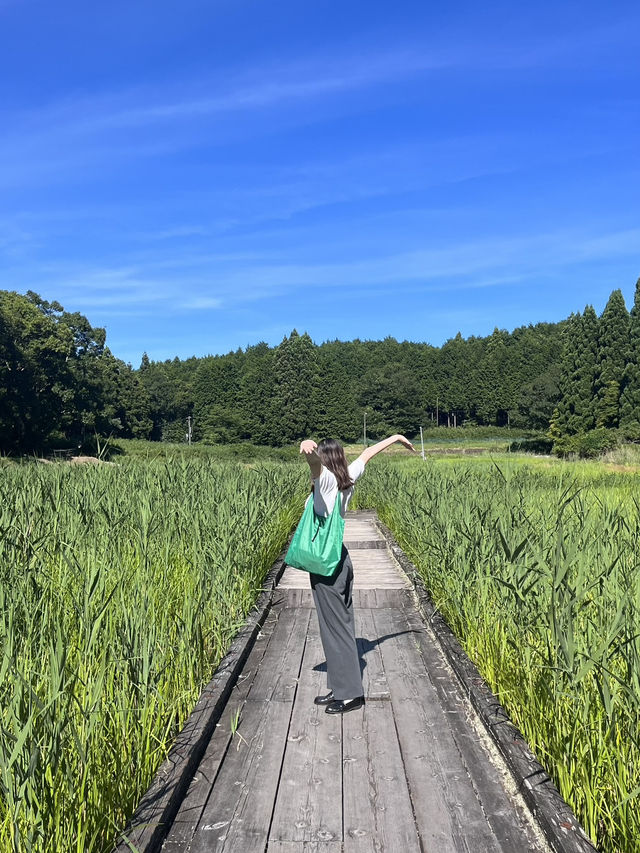 【奈良】穴場自然スポット！龍王ヶ渕🌳