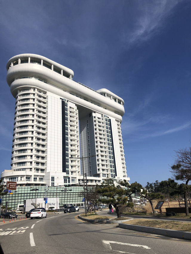🏖 동해 바다와 맞닿은 하늘 위 휴식 스카이베이호텔 경포