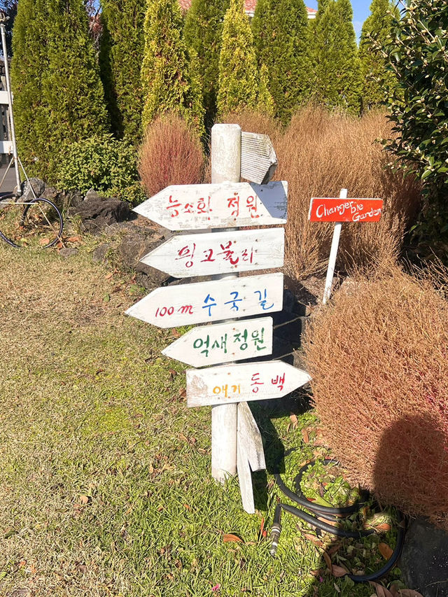 제주에서 꼭 가야하는 애견동반 가능한 카페공간