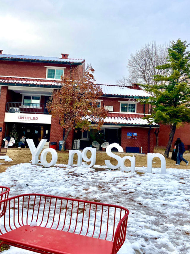 한국의 수도, 서울이 처음인 외국관광객이라면!
