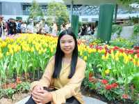  Miracle of Natural สวนทิวลิป ระยอง