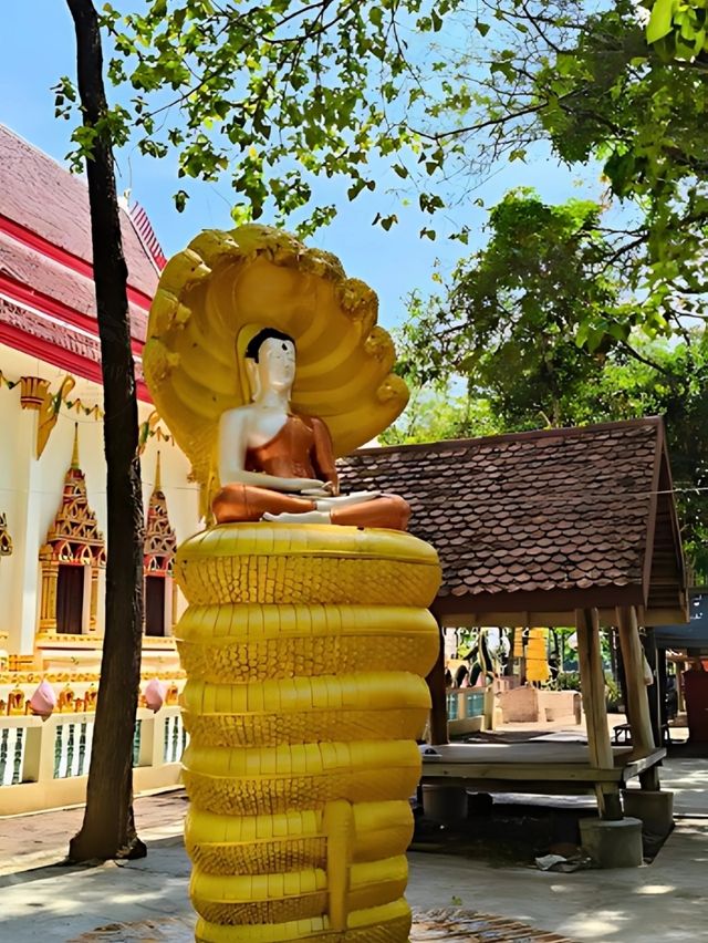 💯 พระธาตุโพนจิกเวียงงัว
